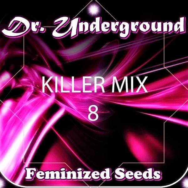 Visualizzazione Killer Surprise Mix 8 planta de marihuana