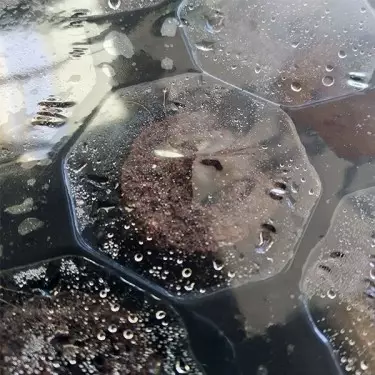 Plugin Pro Xtract dentro de bandeja