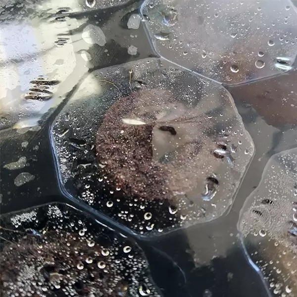 Plugin Pro Xtract dentro de bandeja