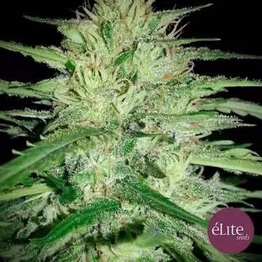 Juanita la lagrimosa