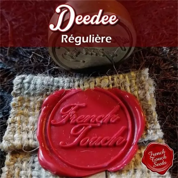 Visualizzazione Planta de marihuana