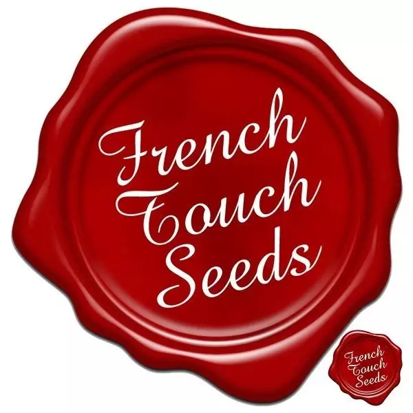 Visualizzazione Planta de marihuana