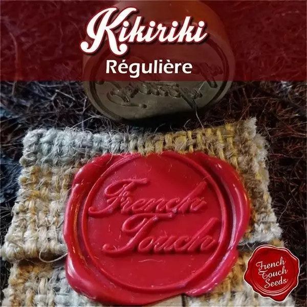 Visualizzazione Planta de marihuana