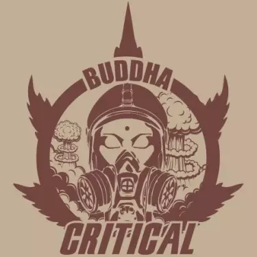 Buddha Critical femminizzata Buddha Seeds