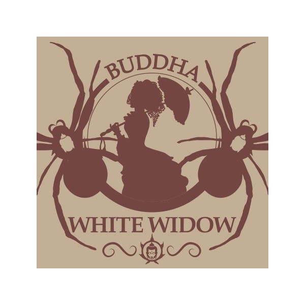 Visualizzazione Buddha White Widow femminizzata Buddha Seeds