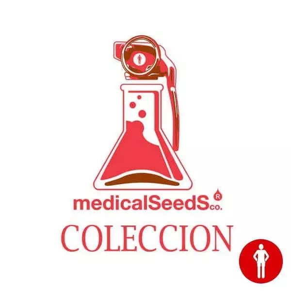 Visualizzazione Collezione 2 Medical Seeds femminilizzate.