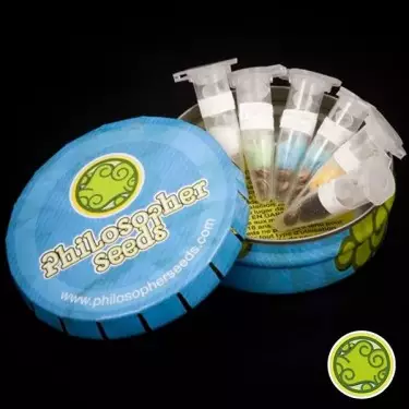 Outdoor Mix del banco Philosopher Seeds.