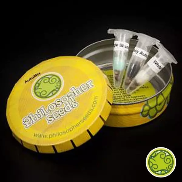 Visualizzazione Auto Mix cajita de metal