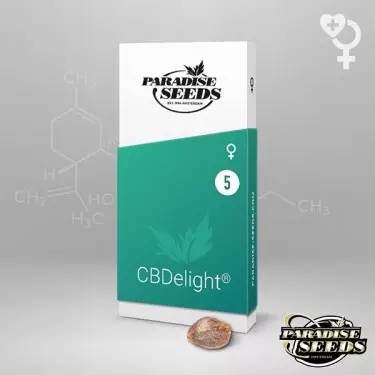 CBDelight Paradise Seeds semi femminizzati
