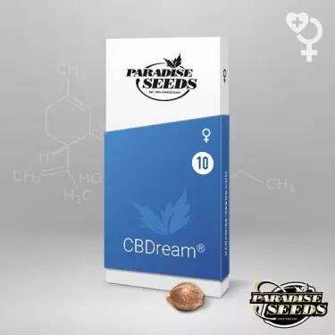 CBDream Paradise Seeds semi femminizzati