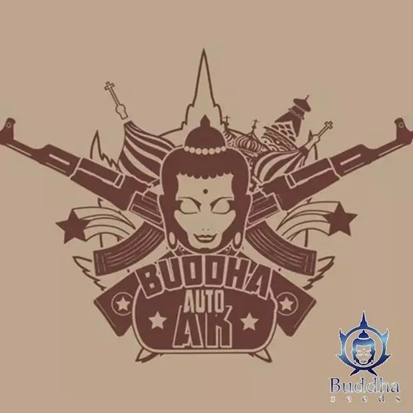 Visualizzazione Buddha Auto AK semi autofiorenti Buddha Seeds