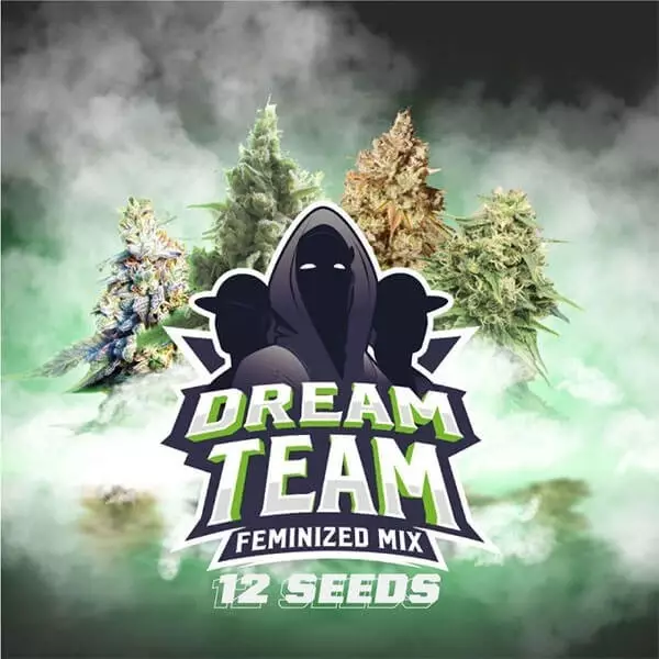 Visualizzazione Pack semi Dream Team Mix di BSF Seeds.