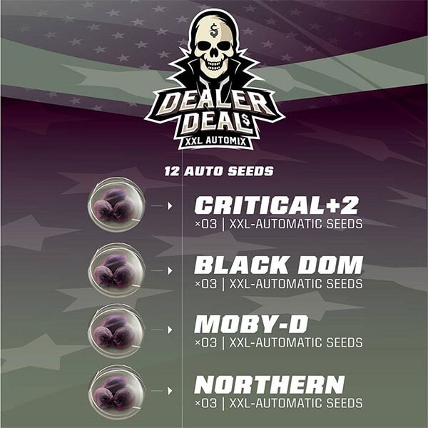 Visualizzazione Pack semi auto Dealer Deal XXL Automix.