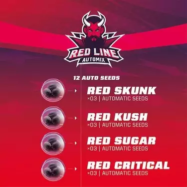 Pack semi Red Line Automix di BSF Seeds.