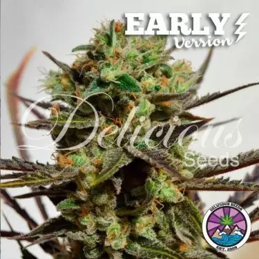 Delicious Candy Early Version semi banca Delicious Seeds - GB