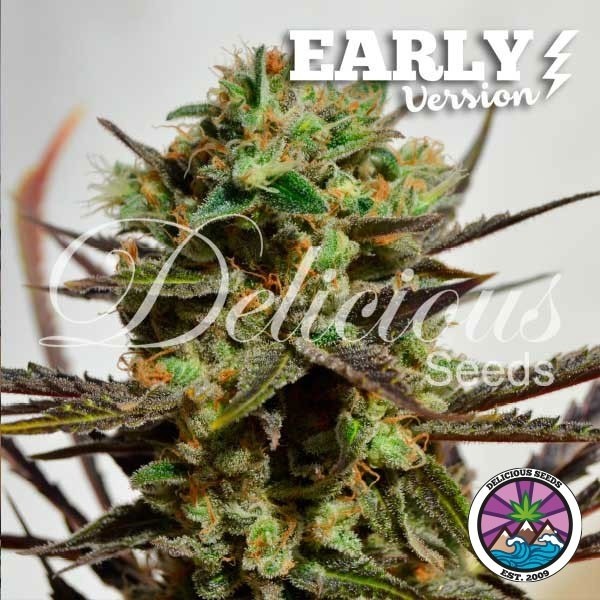 Visualizzazione Delicious Candy Early Version semi banca Delicious Seeds - GB