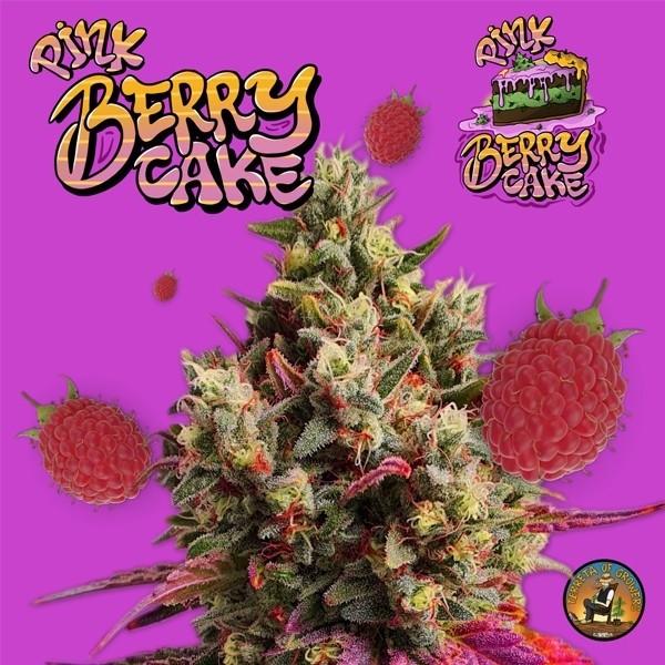Pink Berry Cake di Terreta of Growers - GB The Green Brand