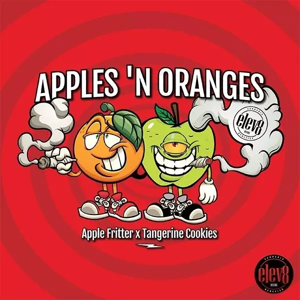 Apples ‘n Oranges de Elev8 Seeds - GB The Green Brand
