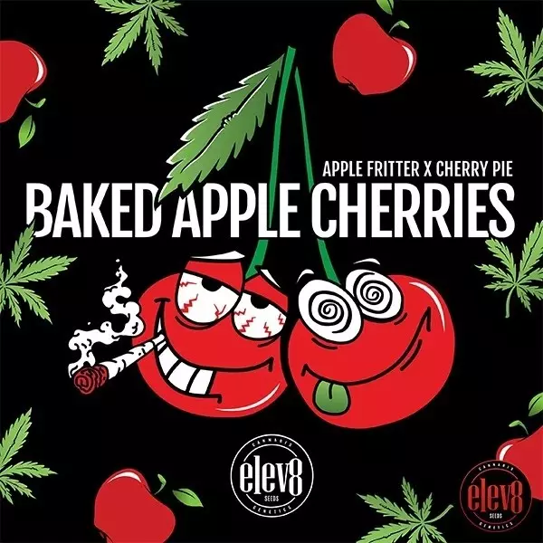 Baked Apple Cherries de Elev8 Seeds - GB The Green Brand