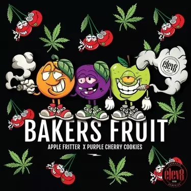Bakers Fruit semillas de Elev8 Seeds - GB The Green Brand