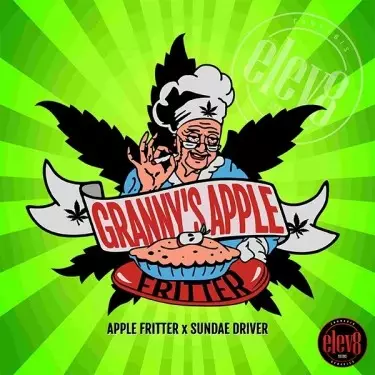 Granny’s Apple Fritter de Elev8 Seeds - GB The Green Brand