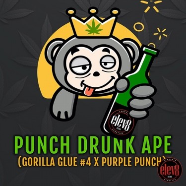 Punch Drunk Ape di Elev8 Seeds - GB The Green Brand