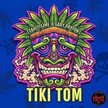 Tiki Tom semillas de Elev8 Seeds - GB The Green Brand
