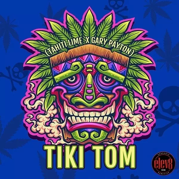 Tiki Tom semillas de Elev8 Seeds - GB The Green Brand