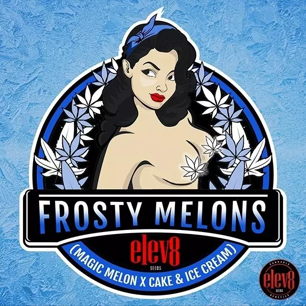 Frosty Melons semillas de Elev8 Seeds - GB The Green Brand