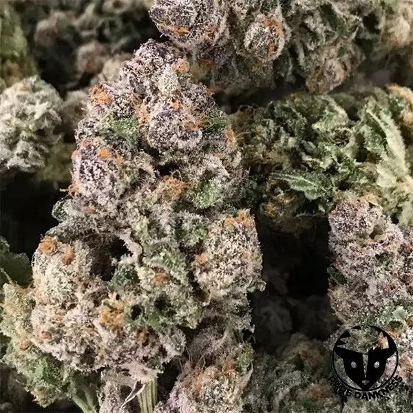 Visualizzazione Dark Ghost Train semilla de Rare Dankness - GB The Green Brand