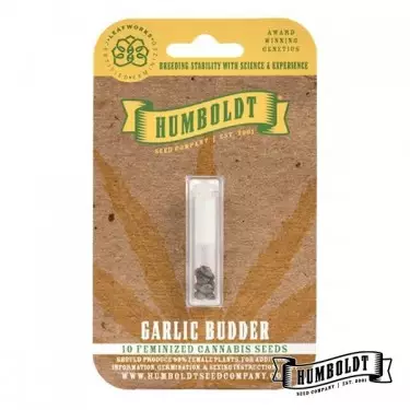 Garlic Budder de Humboldt Seed - GB The Green Brand