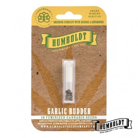 Garlic Budder de Humboldt Seed - GB The Green Brand