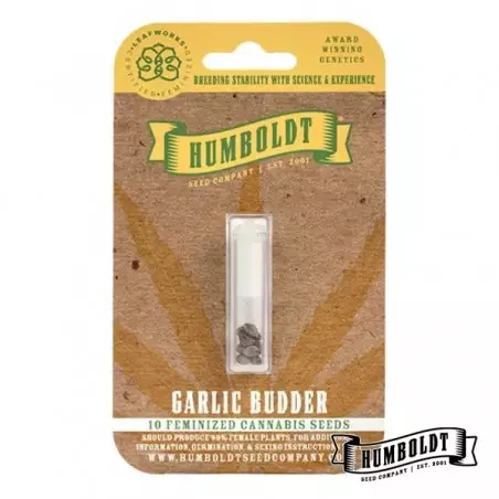 Garlic Budder de Humboldt Seed - GB The Green Brand