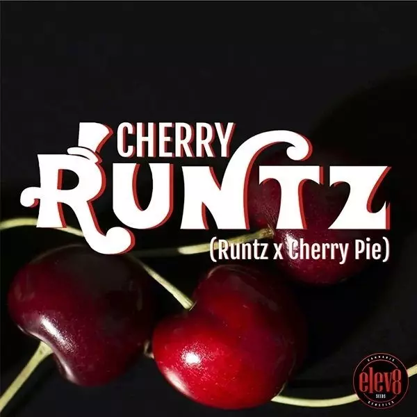 Visualizzazione Cherry Runtz
