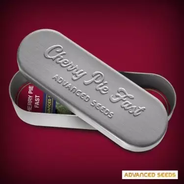 Semi Cherry Pie Fast - Advanced Seeds