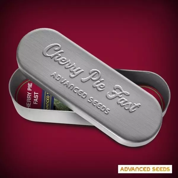 Visualizzazione Semi Cherry Pie Fast - Advanced Seeds