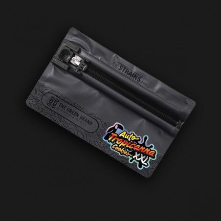 Auto Tropicanna Cookies XXL - GB The Green Brand
