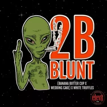 2B Blunt di Elev8 Seeds - GB The Green Brand