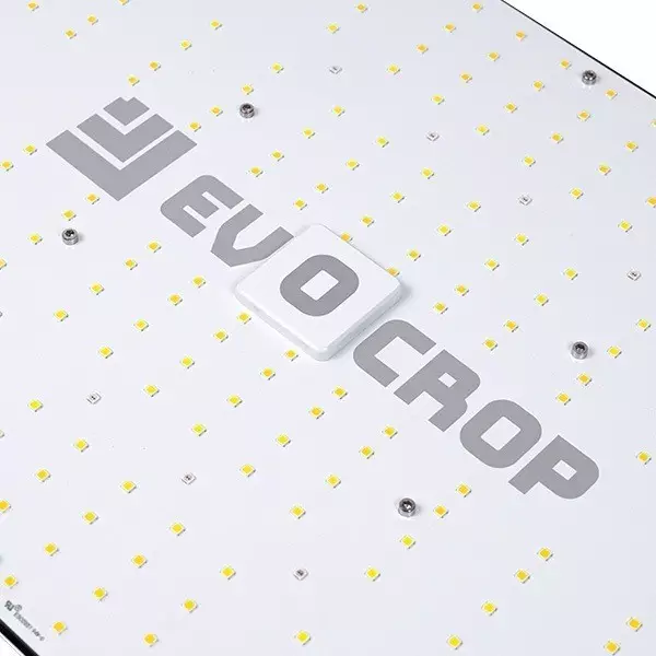 Pannello LED Wallace EVO V1 240W- GB The Green Brand