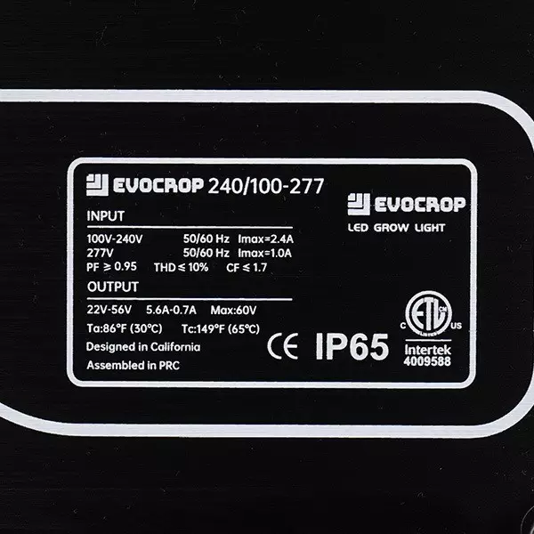 Pannello LED Wallace EVO V1 240W- GB The Green Brand