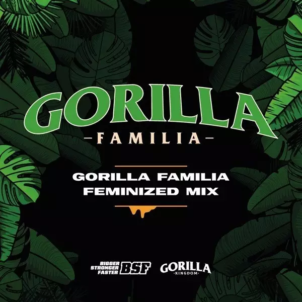 Visualizzazione Comprare Gorilla Familia Mix BSF Seeds semi femminizzati
