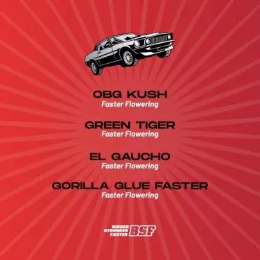 Faster and Furious Faster Mix- GB The Green Brand