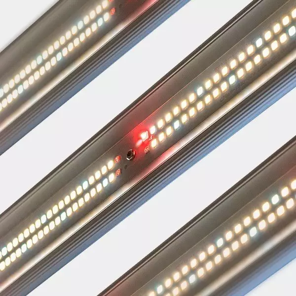 Sistema LED Regolabile 600W V3.0 GB Lighting