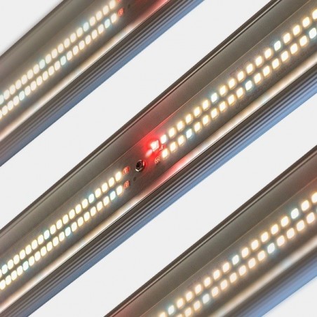 Sistema LED Regolabile 600W V3.0 GB Lighting