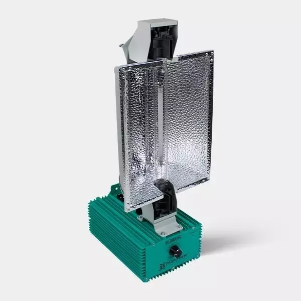 Impianto illuminazione 1000W GB Lighting - The Green Brand