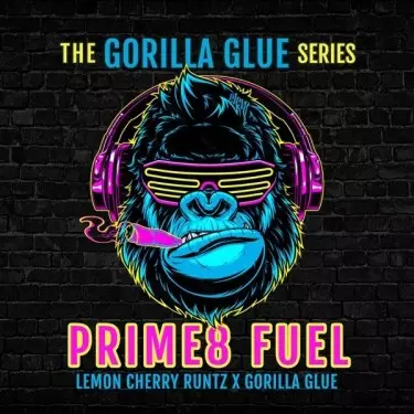 Prime8 Fuel di Elev8 Seeds - GB The Green Brand