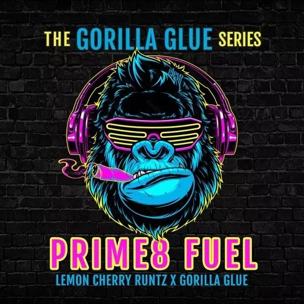 Visualizzazione Prime8 Fuel di Elev8 Seeds - GB The Green Brand