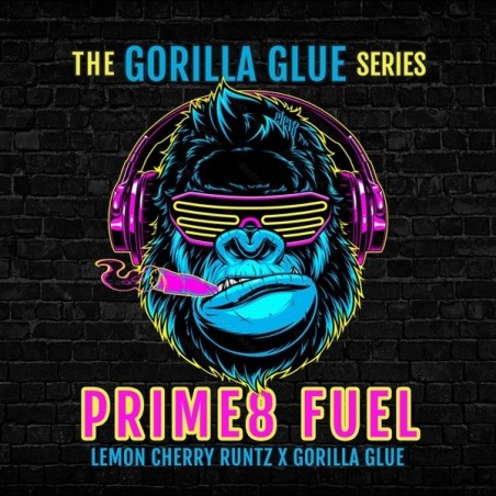 Prime8 Fuel di  Elev8 Seeds - GB The Green Brand