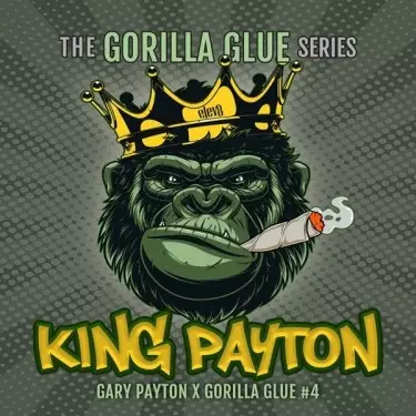 King Payton Elev8 Seeds - GB The Green Brand