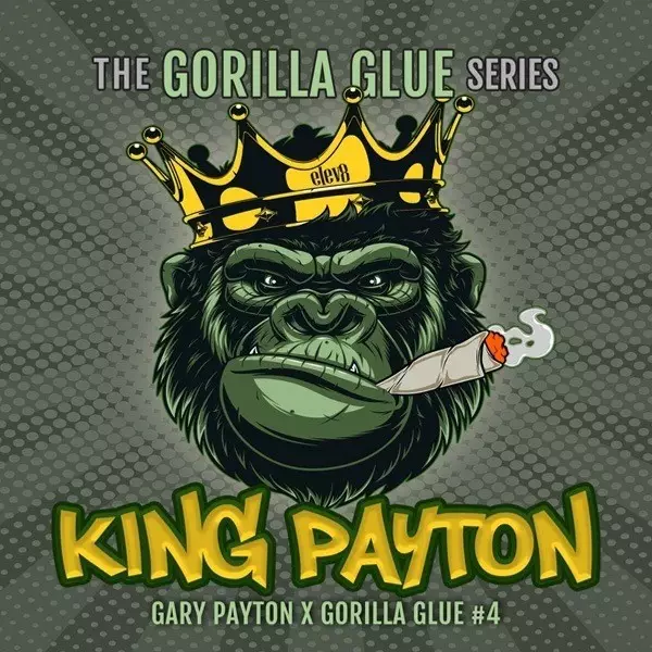 Visualizzazione King Payton Elev8 Seeds - GB The Green Brand